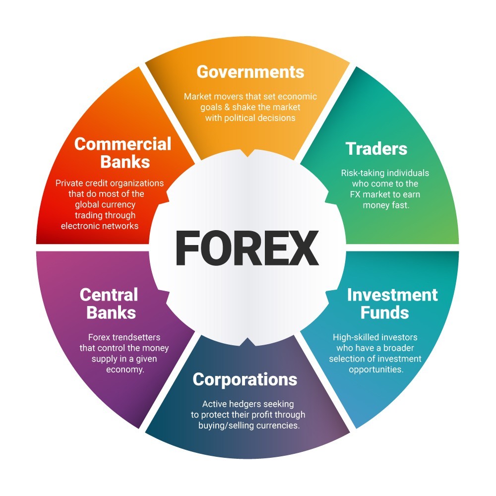 forex soggetti coinvolti, Hedge funds, traders